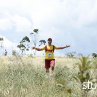studio s 361